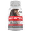Version 1.0.0 Body Essentials EPICATECHIN suplemento muscular 60 cápsulas 300mg
