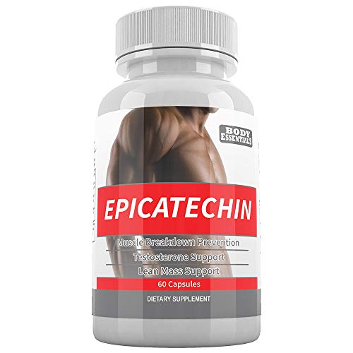 Version 1.0.0 Body Essentials EPICATECHIN suplemento muscular 60 cápsulas 300mg