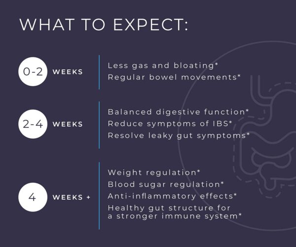 Version 1.0.0 BodyBio cápsulas postbiótico para combatir hinchazón y gases