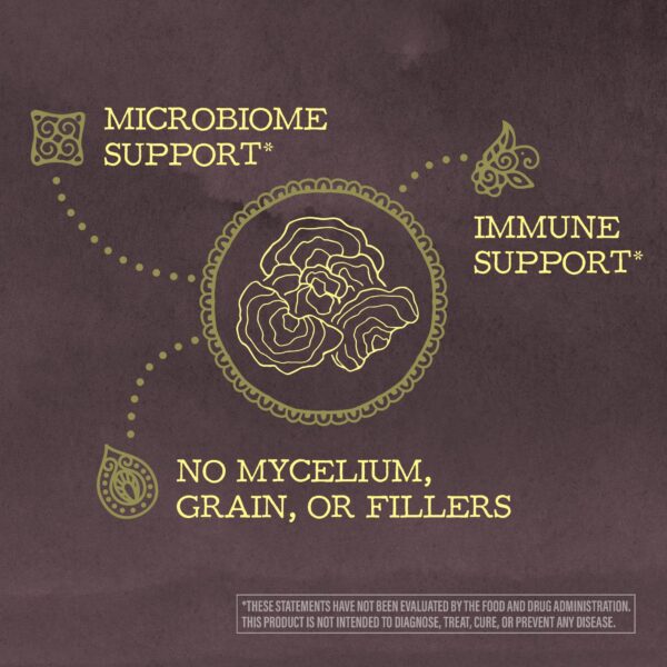 Bolsa 50 porciones polvo Turkey Tail hongo orgánico Sunwarrior