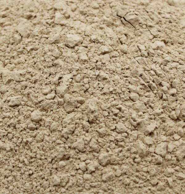 Bolsa y contenido polvo Maitake orgánico Naturejam