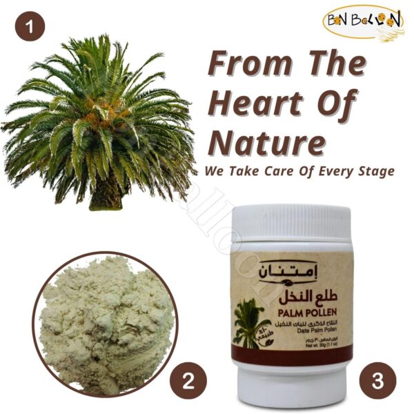Version 1.0.0 Bolsa de polen de palma natural Imtenan 30 gramos