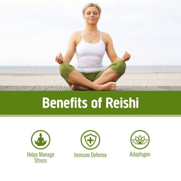 Bolsa de polvo de hongo reishi orgánico OM Mushroom Superfood