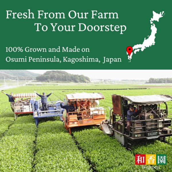 bolsa polvo natural genmaicha té verde y arroz wakoen