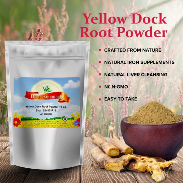 Bolsa de polvo de raíz dock amarillo suplemento herbal orgánico