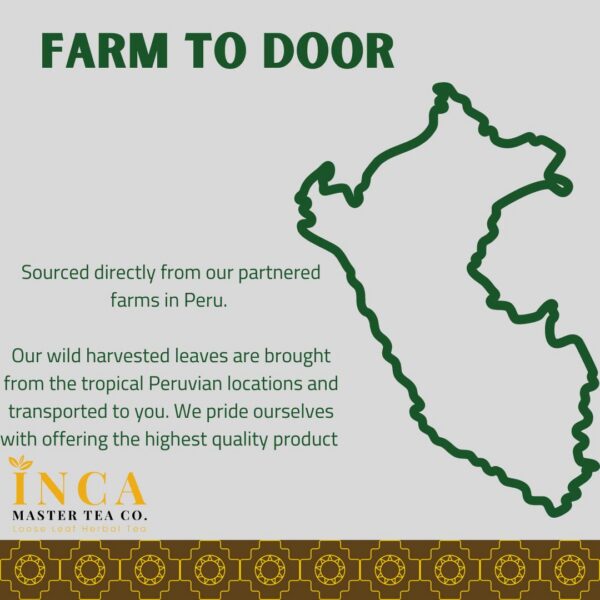 Bolsa té natural Inca Master para salud renal