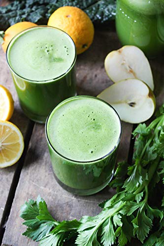 Version 1.0.0 Bolsas de spirulina congelada para suplemento diario