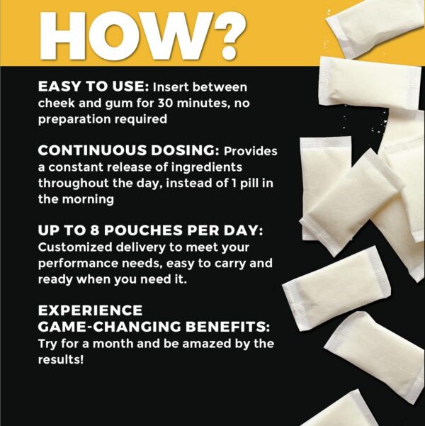 Version 1.0.0 Bolsitas nootrópicas Fully Loaded Alpha Fuel 15 por lata