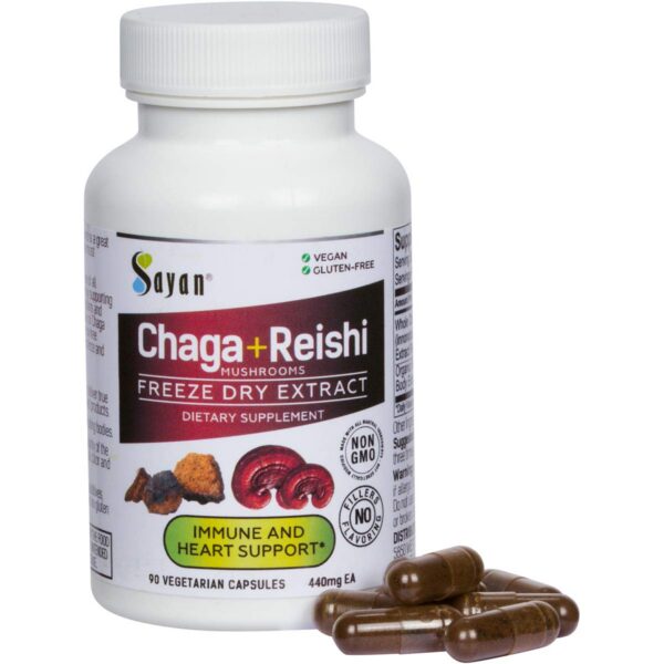 Bolsitas de té de Chaga siberiano