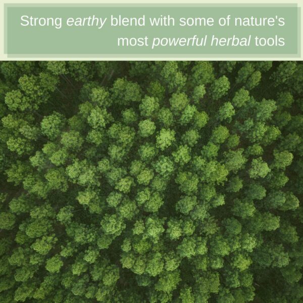 bolsitas té hierbas limpieza sangre speedyvite