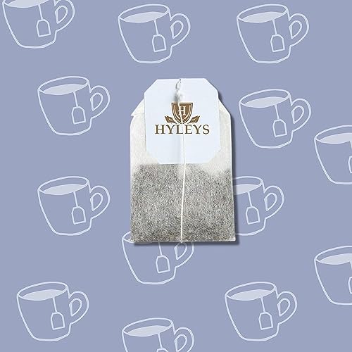 Bolsitas de té HYLEYS Garcinia Cambogia Té Verde sabor arándano