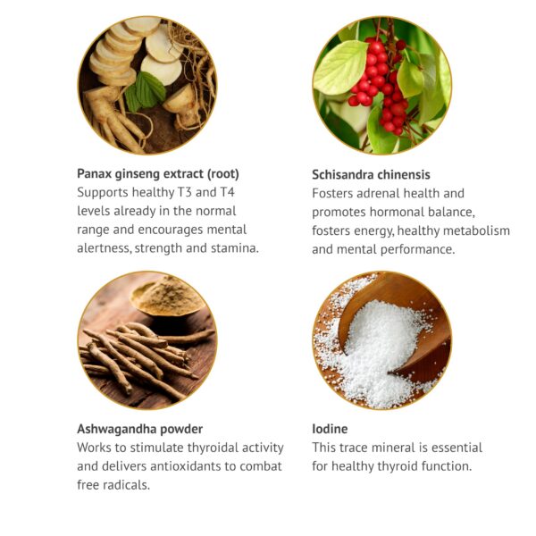 Detalle de uso diario