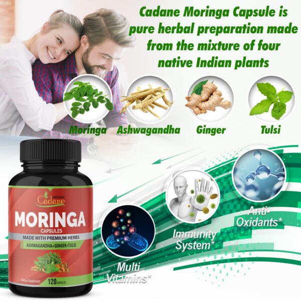 Version 1.0.0 Botella con 120 cápsulas vegetales concentradas de moringa y hierbas