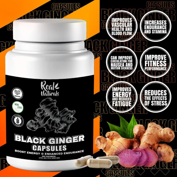 Version 1.0.0 botella de cápsulas extracto de jengibre negro 100 unidades