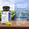 Botella cápsulas hoja de olivo soporte inmunológico