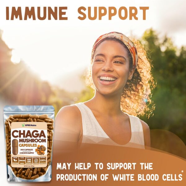 Botella cápsulas de hongo chaga premium XPRS Nutra