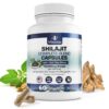 Version 1.0.0 Botella cápsulas Shilajit Himalayo Vitamized 60 unid