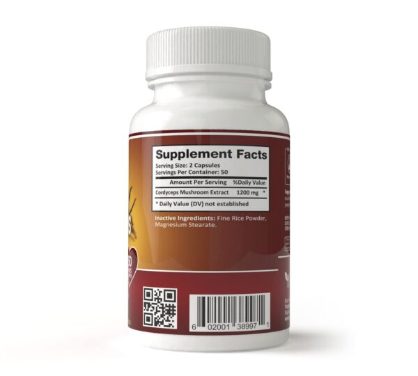 Botella de Cordyceps YongWell mostrando etiqueta