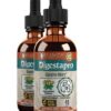 Version 1.0.0 Botella DigestaPro suplemento amargos digestivos líquido 4oz