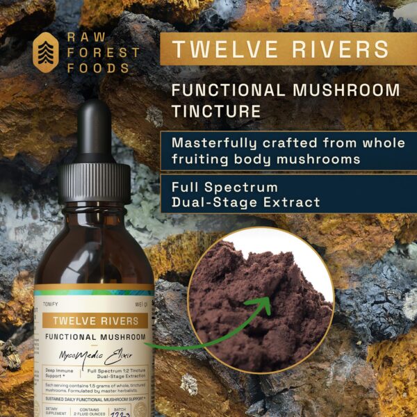 Version 1.0.0 Botella de Elixir de Hongos RAW Forest Foods