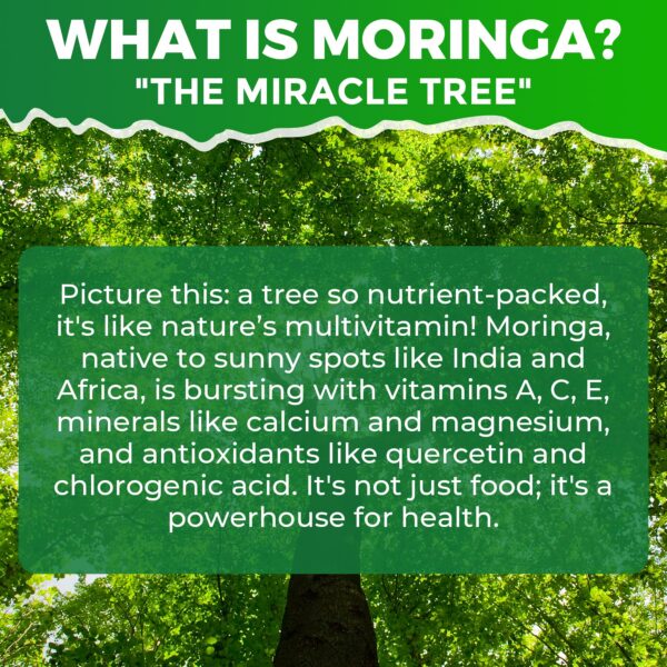 Version 1.0.0 Botella de gomitas moringa spirulina