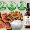 Version 1.0.0 Botella de extracto dual de hongos Lions Mane Reishi Turkey Tail