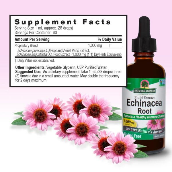 Botella de extracto echinacea 1000 mg Nature's Answer