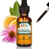 Version 1.0.0 Botella extracto equinácea niños Herb Pharm sin alcohol 1 oz