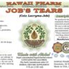 Botella extracto Job's Tears tintura herbal natural calidad