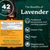 Version 1.0.0 Botella extracto de lavanda Herb Pharm apoyo sistema nervioso