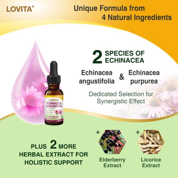 detalle etiqueta lovita extracto echinacea con sauco