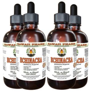 Version 1.0.0 Botella de extracto líquido orgánico de equinácea sin alcohol Hawaii Pharm