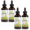Botella extracto líquido hoja de olivo Maxx Herb 4 oz
