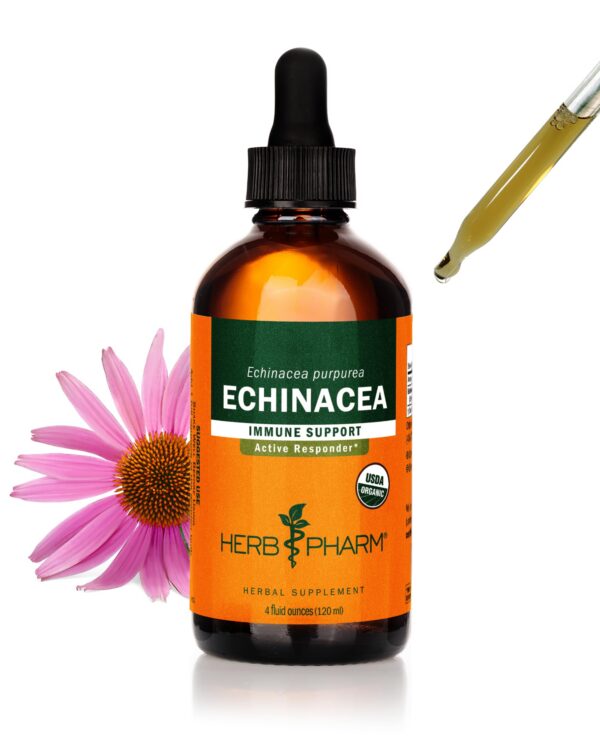 Version 1.0.0 Botella extracto líquido orgánico Super Echinacea Herb Pharm