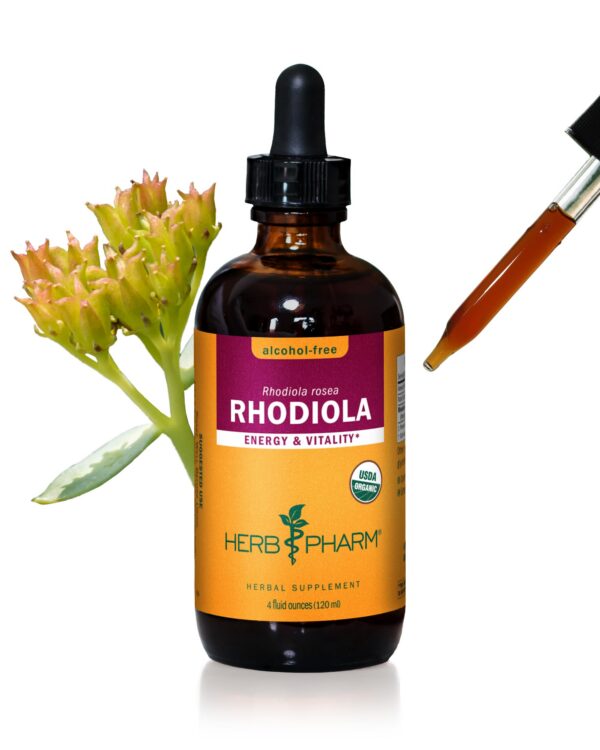 Botella extracto líquido raíz de rhodiola orgánica Herb Pharm