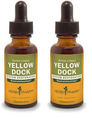 Version 1.0.0 Botella extracto líquido Yellow Dock Herb Pharm 1 oz