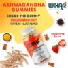 Botella de gomitas Ashwagandha Wixar Naturals 60 unidades