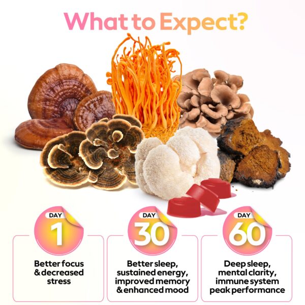 Version 1.0.0 Botella gomitas hongos triple extracción veganas 60 unidades