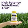 Botella Healthy Origins ácido pantoténico 240 cápsulas