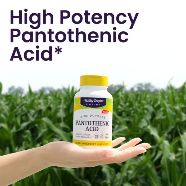 Botella Healthy Origins ácido pantoténico 240 cápsulas