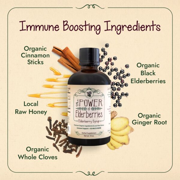 Version 1.0.0 Botella jarabe The POWER of Elderberries para sistema inmune