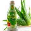 Version 1.0.0 Botella jugo orgánico aloe vera JUAL sabor limón y jengibre
