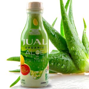 Botella jugo orgánico aloe vera JUAL sabor limón y jengibre