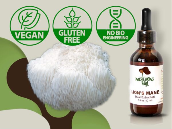 Botella de Melena de León con gotero