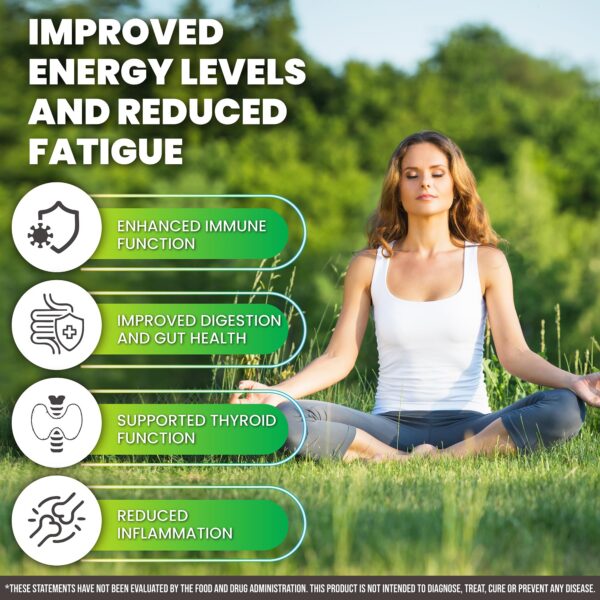 Version 1.0.0 Botella Oaks Nutrition Sea Moss y Aceite Semilla Negra