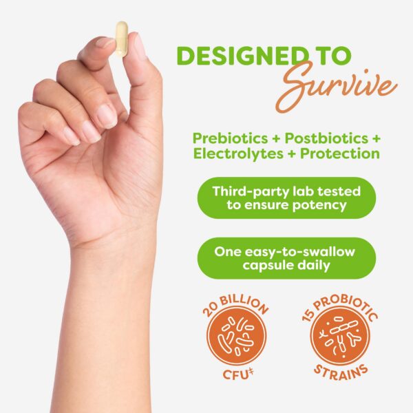 Botella probiótico Probulin total care 30 cápsulas