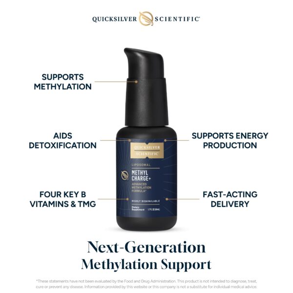 Version 1.0.0 Botella transparente de Quicksilver Methyl Charge 50ml