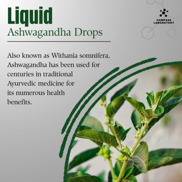Botella de soporte inmunológico Ashwagandha Compass Laboratory