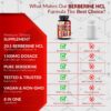 botella suplemento berberina con ingredientes naturales