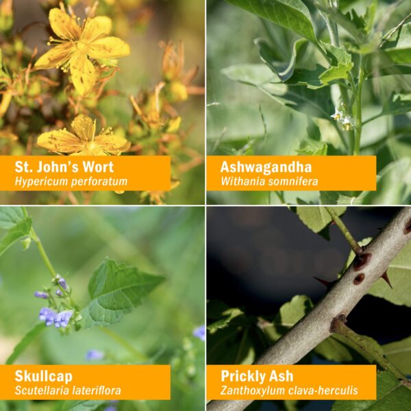 Botella suplemento buen ánimo Herb Pharm 4 onzas con hierba de san juan